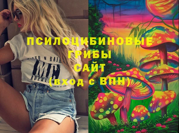 jwh Богородицк