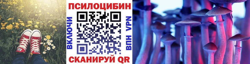 Галлюциногенные грибы Magic Shrooms  Химки 